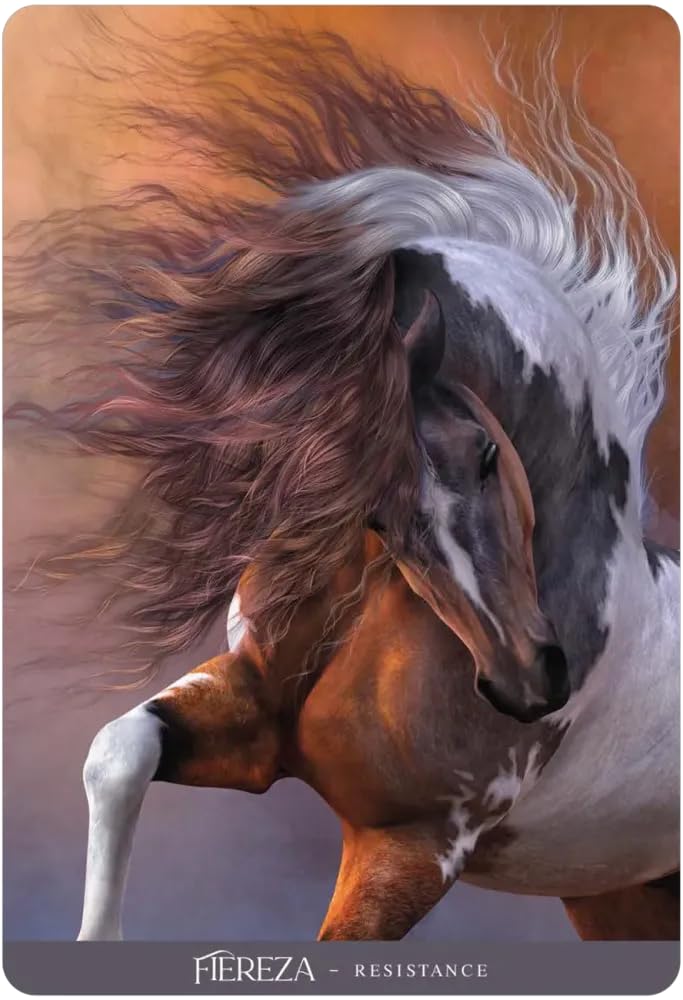 Amazon | Kancharo オラクルカード 41 枚 タロット占い【オラクル オブ