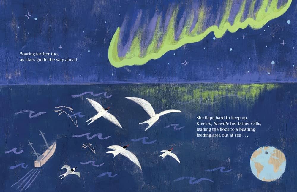 The Longest Journey: An Arctic Tern's Migration: Hevron, Amy