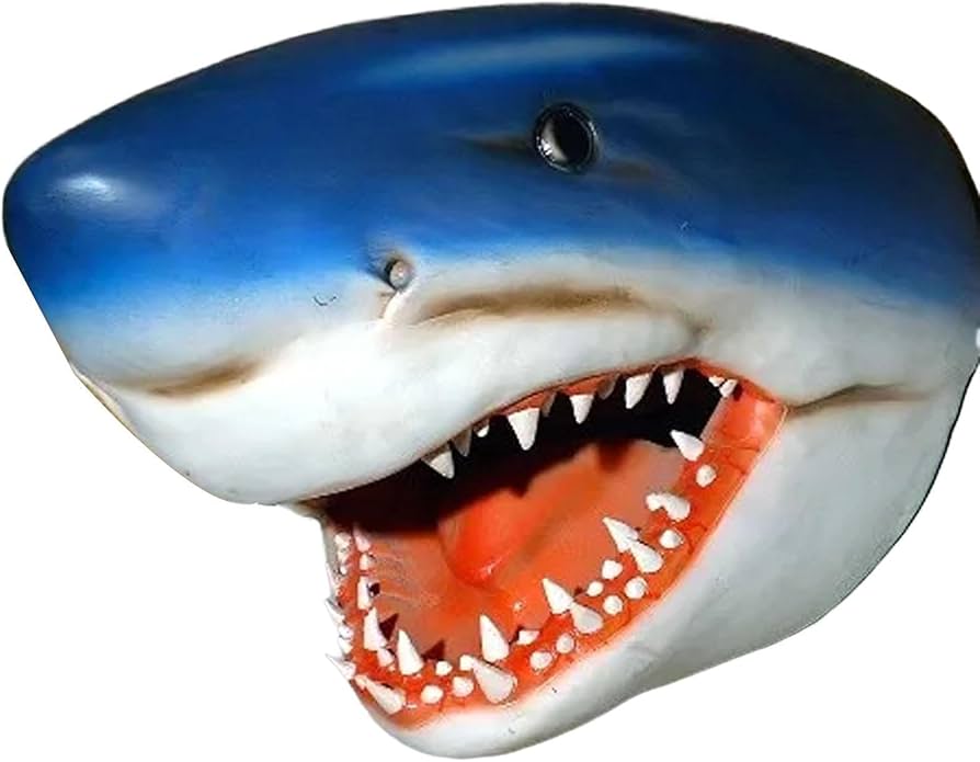Amazon.co.jp: サメの像の装飾, フローティングプールシャークヘッド