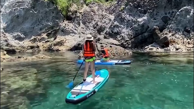 Trophy T1 & Trophy T2