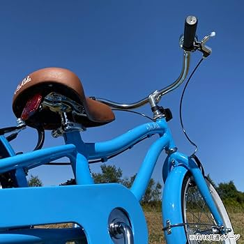 Amazon | レイアロハ16AL (BL) 子供用自転車 16インチ ビーチ