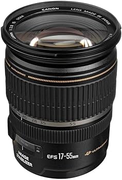Amazon.co.jp: Canon 広角ズームレンズ EF-S17-55mm F2.8 IS USM APS-C