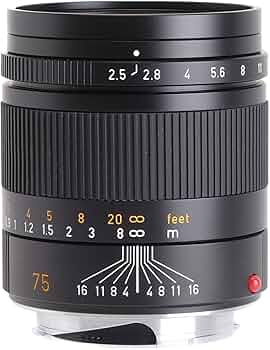 Amazon.co.jp: Summarit-M ズマリット M75mm F2.5 : 家電＆カメラ