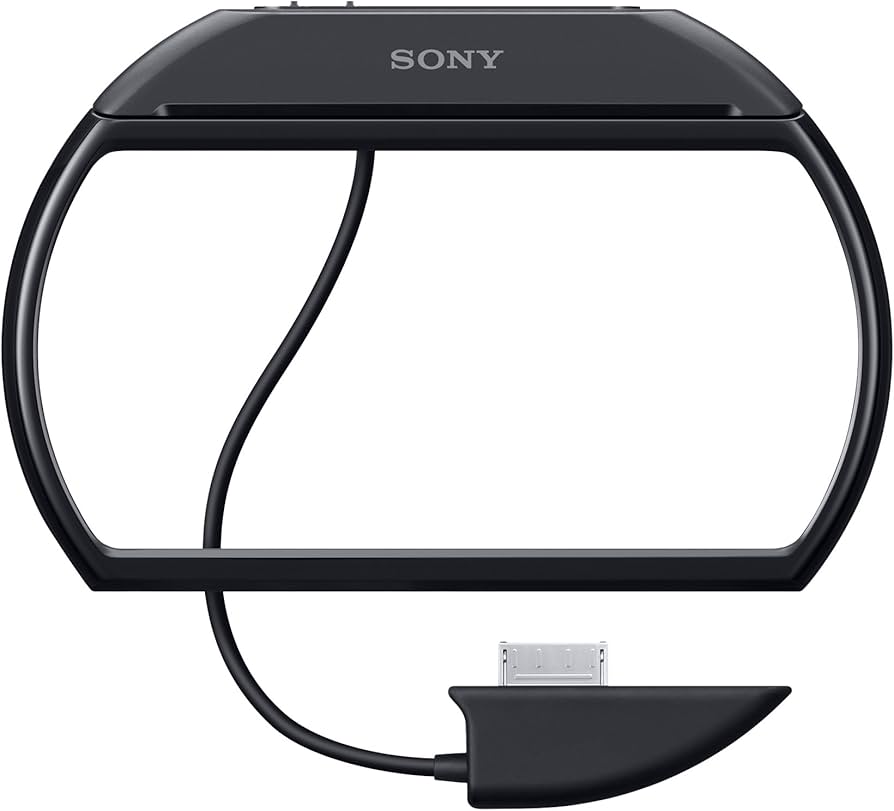 PSP go用) コンバーターケーブルアダプター (PSP-N440) : Amazon.es