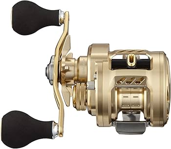 Amazon | ダイワ(DAIWA) 21 バサラ 100L | ダイワ(DAIWA) | ベイトリール