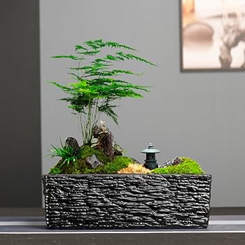 Amazon.co.jp: 植木鉢 アンティーク 陶器 園芸鉢 長方形 インテリア鉢