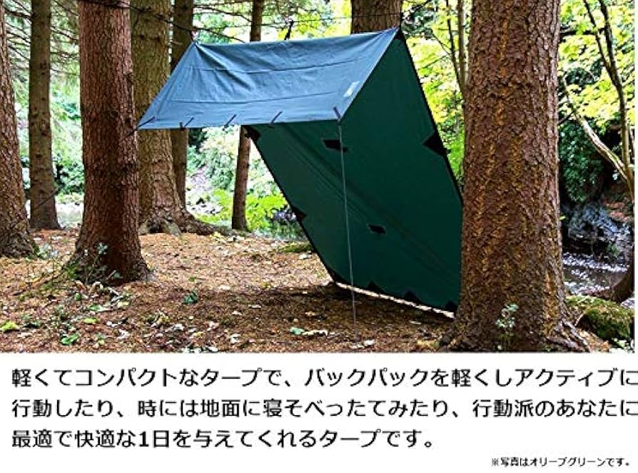 61CUeHIXxPL._AC_UF894,