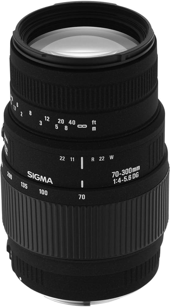 Amazon.com : Sigma 70-300mm f/4-5.6 DG Macro Telephoto Zoom Lens