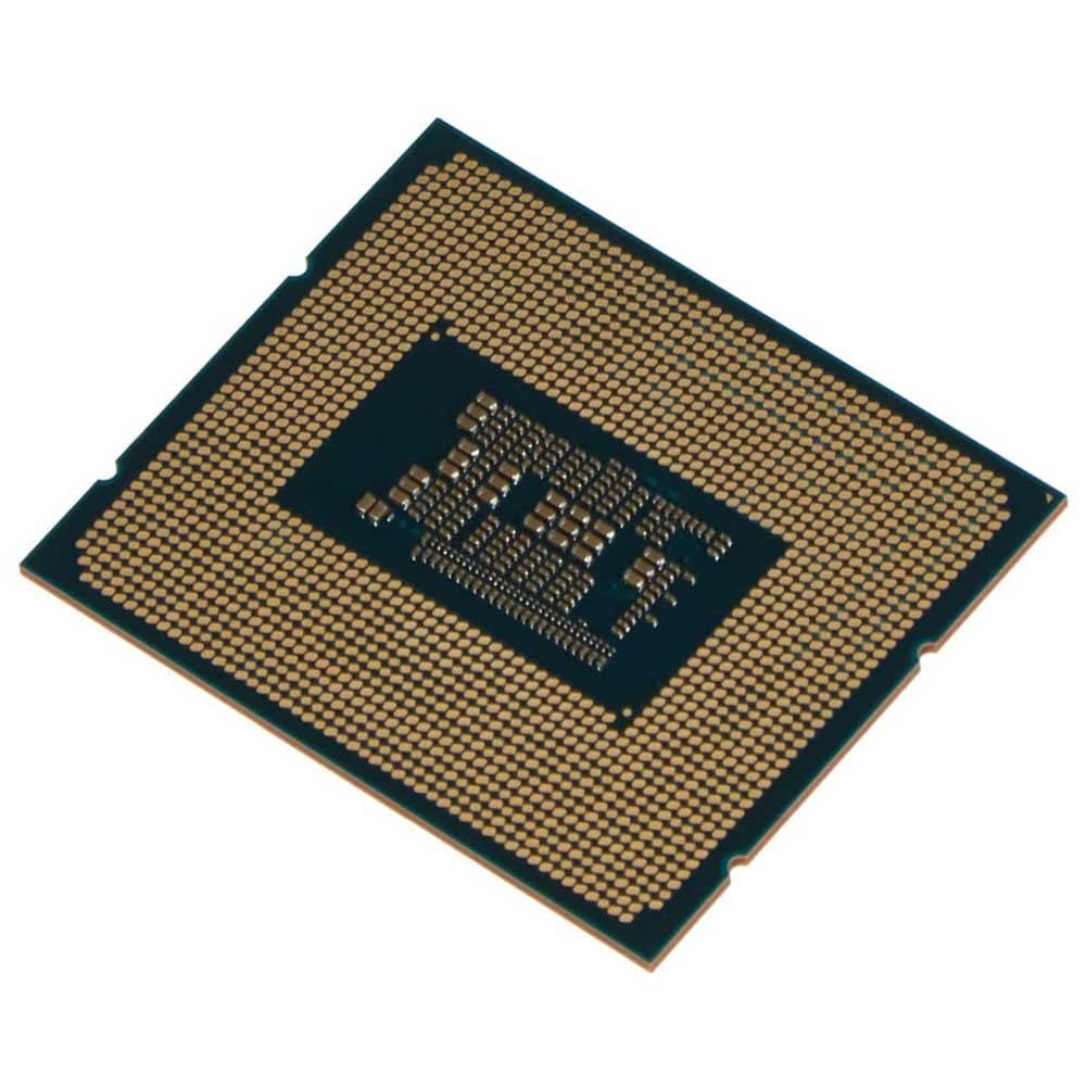 Amazon | インテル® Celeron® G6900 デスクトッププロセッサー 4M