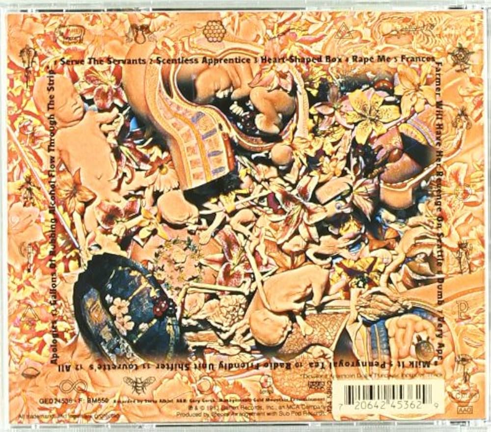 Amazon.com: In Utero: CDs & Vinyl