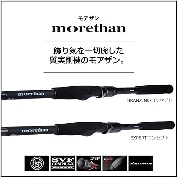 Amazon | ダイワ(DAIWA) シーバスロッド MORETHAN EXPERT 109ML/M・V