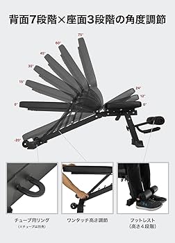 Amazon.co.jp: STEADY トレーニングベンチ【耐荷重330kg/背面×座面の