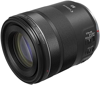 Amazon.co.jp: Canon RF 85mm F2 マクロはSTM、コンパクト中望遠