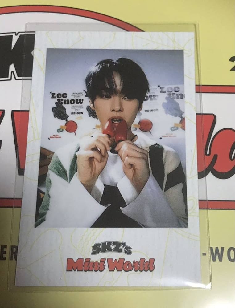 Amazon.co.jp: リノ ポラロイド シーグリ 2023 SKZ's Mini World ポラ