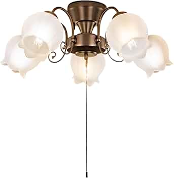 Amazon.co.jp : Amplimle シーリングライト 5灯 照明 シャンデリア E26