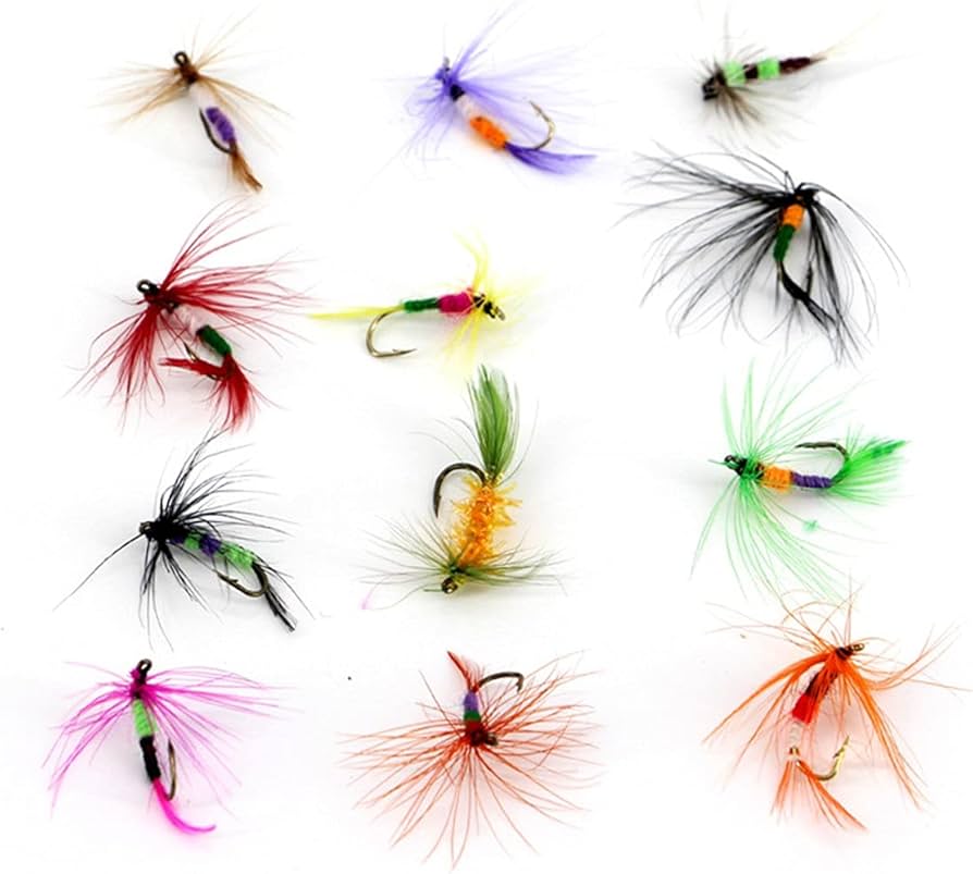 Amazon.co.jp: フライルアーアソシエーション トラウトベース