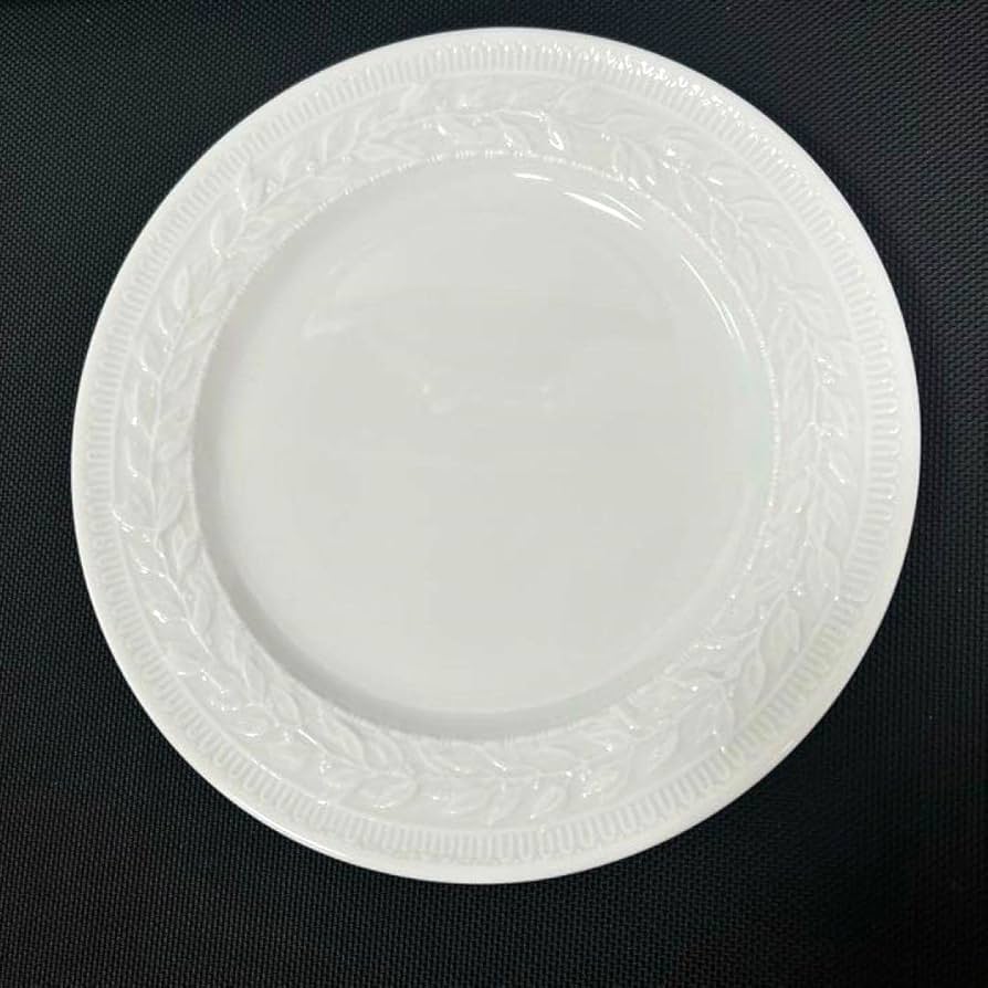 Amazon.co.jp: BERNARDAUDベルナルド プレート 皿 食器 器 : ホーム