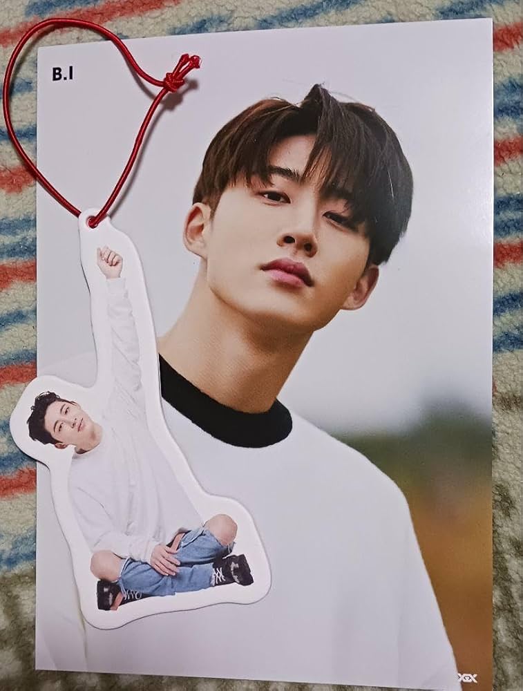 Amazon.co.jp: iKON ぶらさがり ポストカード ハンビン BI : 文房具