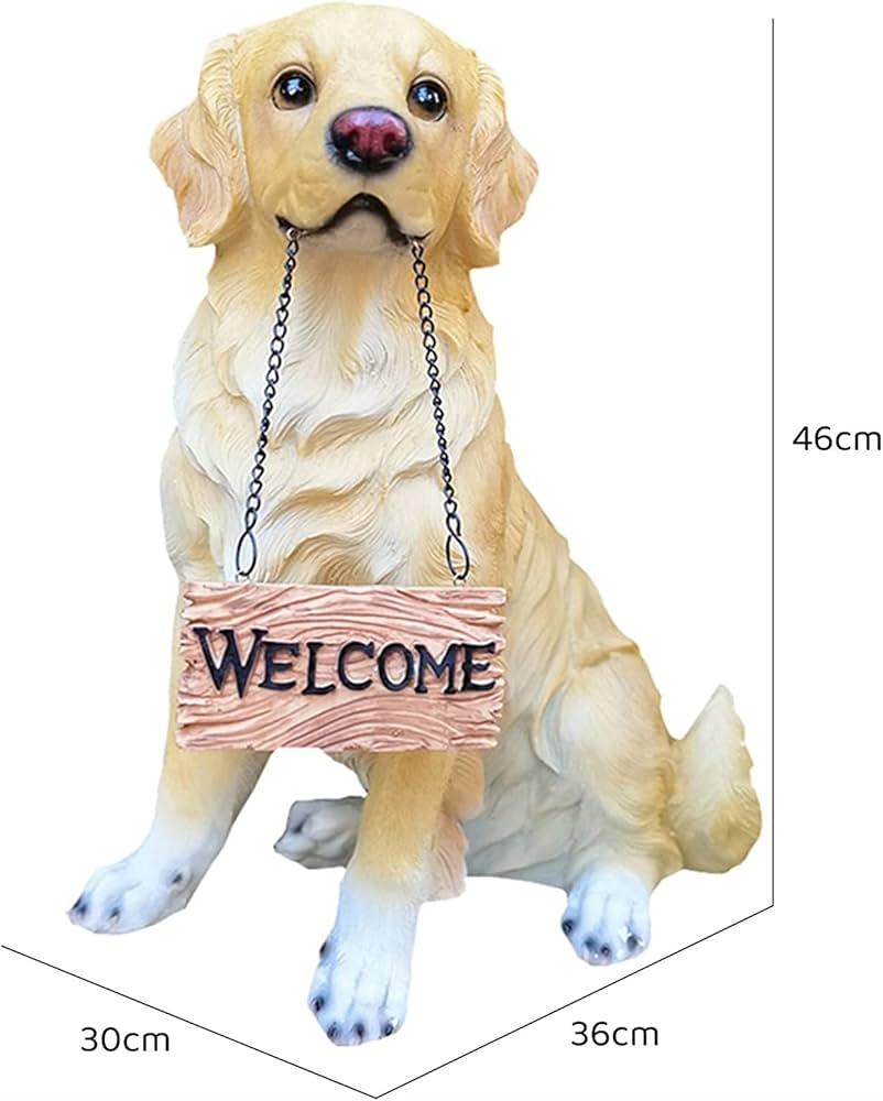 61EDdRjYwcS._AC_UF894,