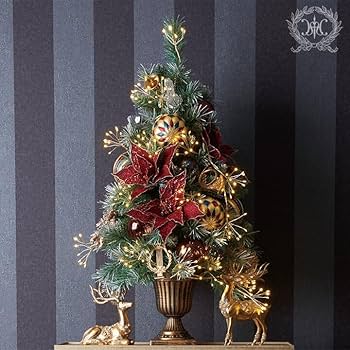 61EHVv7H1iL._AC_UF350,