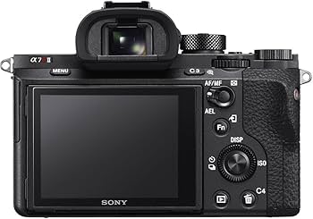 Amazon.com : Sony Alpha a7R II Mirrorless Digital Camera Body Only