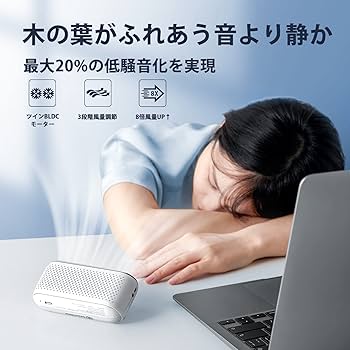 Amazon.co.jp: DesertWest Portable Fan, 2023 Evolution Model & 4 in