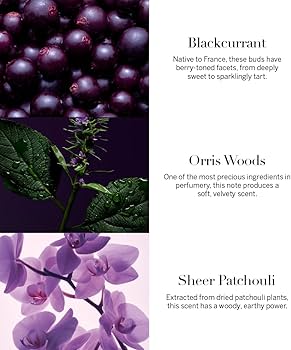 Amazon.com : Victoria's Secret Very Sexy Orchid Eau de Parfum