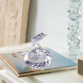 61EqDPV1NFL._AC_UF350,