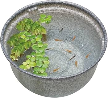 Amazon | ジェックス GEX メダカ元気 メダカのための飼育鉢 みかげ 370