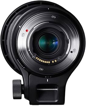 Amazon.com : Sigma 150-600mm 5-6.3 Contemporary DG OS HSM Lens for