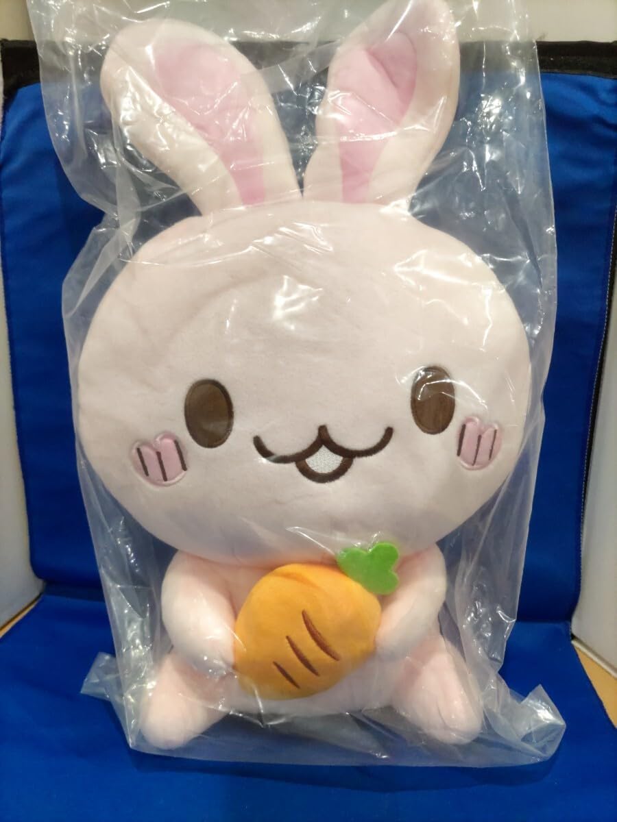 予約抽選 西根工房 ドリームラッシュ9FR 琵琶湖鮎河川遡上型 ②