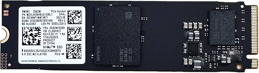 Amazon.com: OEM SAMSUNG PM9B1 256GB M.2 PCI-e GEN 4X4 NVME SSD