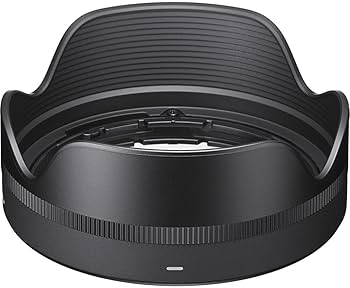 Amazon.com : 18-50mm F2.8 DC DN Contemporary for Sony E (Renewed