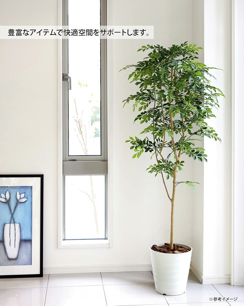 Amazon｜光触媒観葉植物 トネリコ1.8〔フロアタイプ〕 インテリア