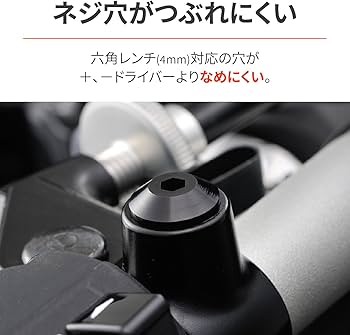 Amazon | デイトナ(Daytona) バイク キャップボルト ミラー 穴埋め 正