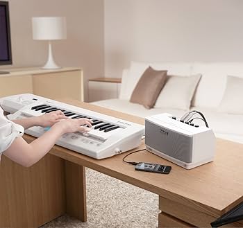 Amazon | Roland ステレオ・モニター・アンプ CUBE Lite MONITOR CUBE