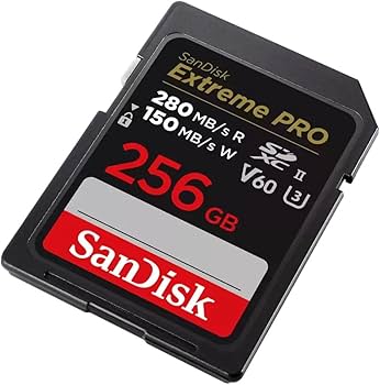 Amazon.com: SanDisk 256GB Extreme Pro UHS-II SDXC Memory Card