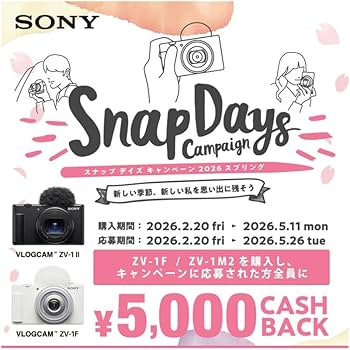 Amazon.co.jp: ソニー / Vlog用カメラ / VLOGCAM / デジタルカメラ