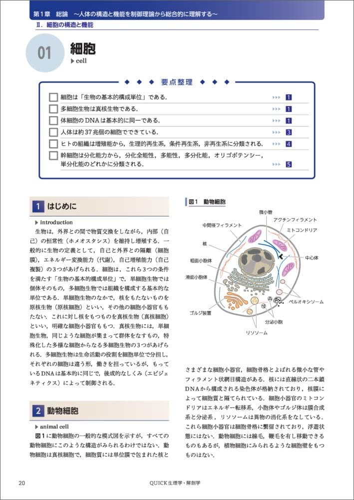 QUICK生理学・解剖学〜人体の構造と機能・病態生理 | 松尾 理 |本