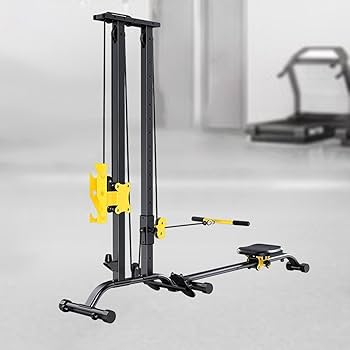 Amazon | Dickly 【ローイングマシン】ラットプルダウンマシン ラット