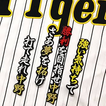 61HIJ7fgZsL._AC_UF350,