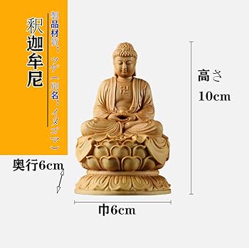 61HOTAuVg4L._AC_UF350,