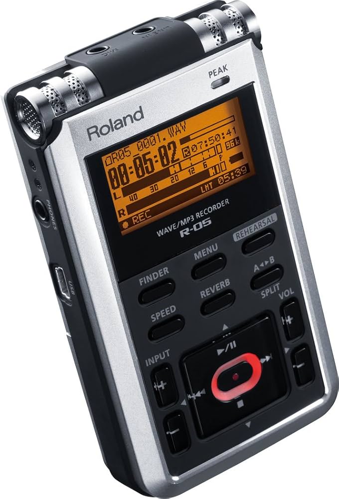 Roland R-05 WAVE / MP3 Recorder, Multi-Colored : Amazon.in