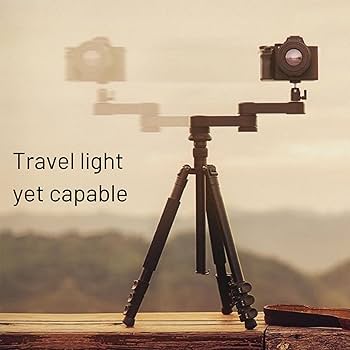 61IFD03+TeL._AC_UF350,