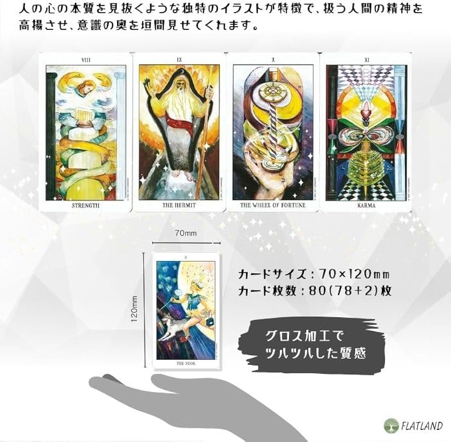 Amazon.co.jp: タロット オブ ザ スピリット Tarot of the Spirit Deck