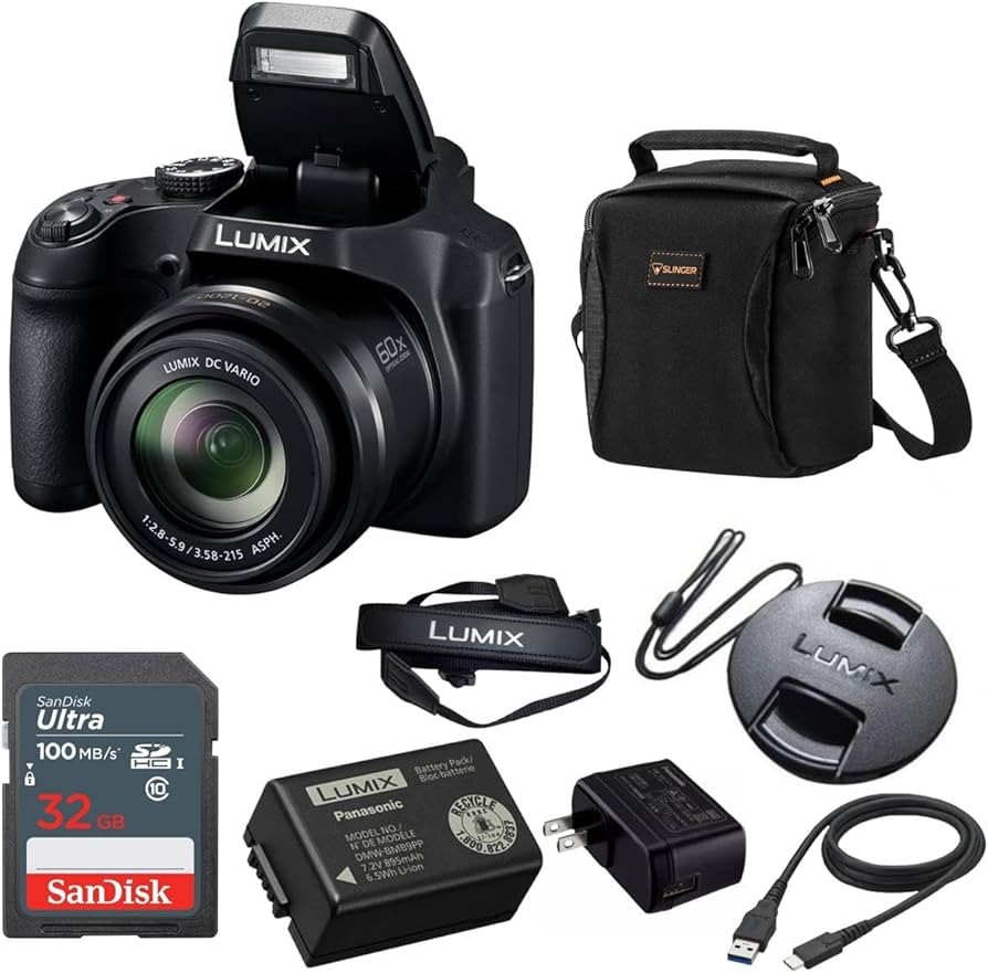 Amazon.com : Panasonic LUMIX FZ80D 18.1MP Point & Shoot Digital