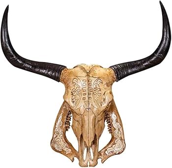 Amazon.co.jp: 天然雄牛の頭蓋骨 壁装飾 ロングホーン 雄牛の頭蓋骨
