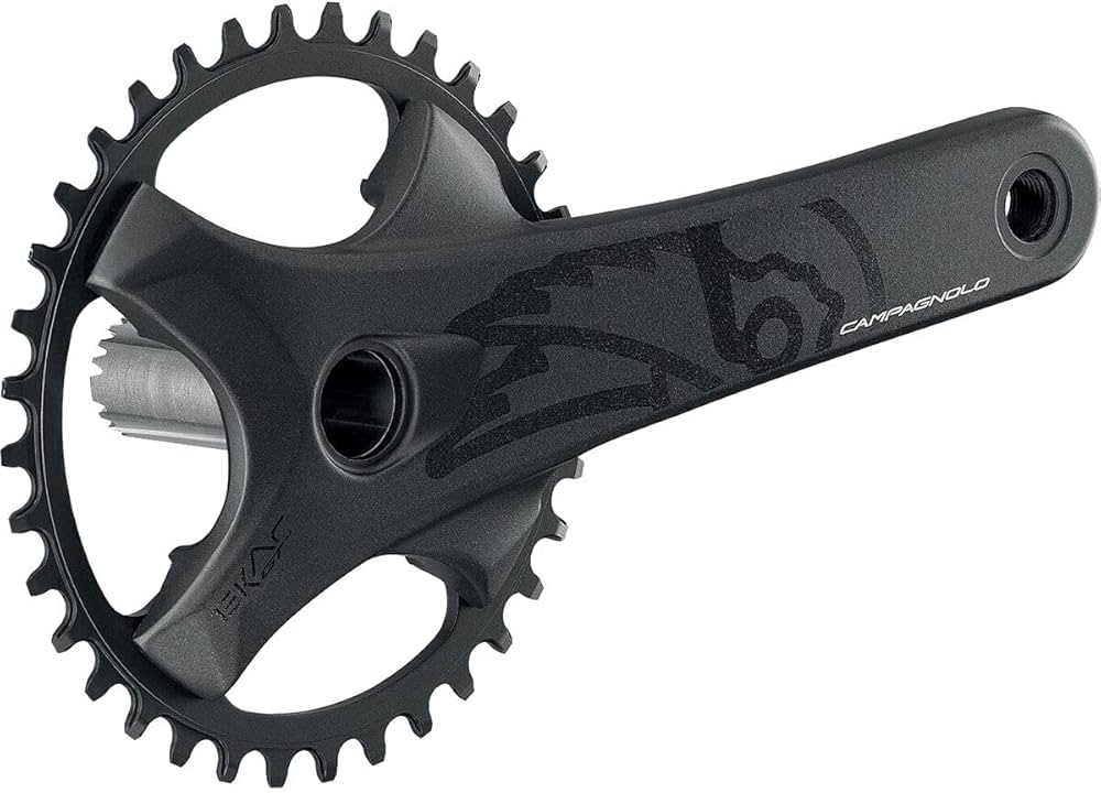 Amazon | Campagnolo Ekar Gt クランクセット ブラック、170mm、36T