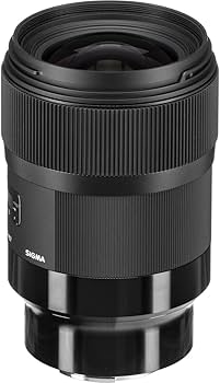 Amazon.com : Sigma 35mm F1.4 Art DG HSM for Sony E : Electronics