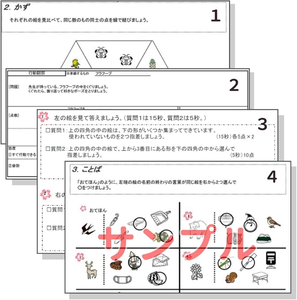 過去問を徹底分析！宇都宮大附属小学校受験合格への道 練習編・実践編